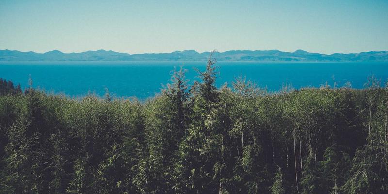 智能升级,仓储先行:北京天华盛业如何用自动化仓储物流解决方案为工厂降本增效注入新动能