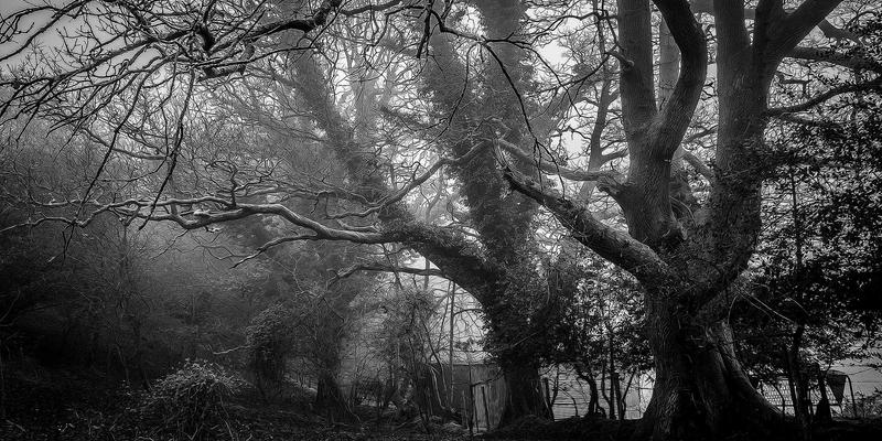 预见未来，智造无忧：北京天华盛业如何用数字孪生赋能自动化产线预测性维护